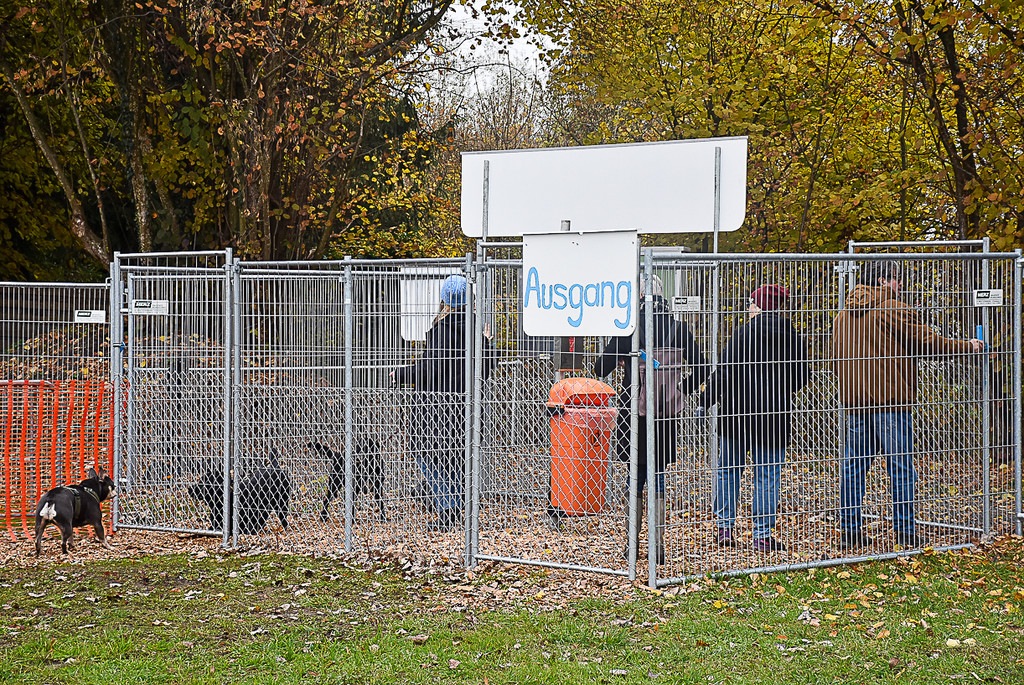 20251107_Er__ffnung Hunde-Freilauffl__che-20.jpg
