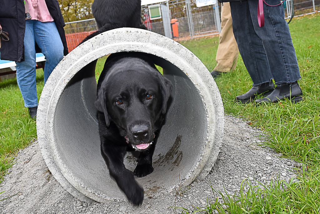 20251107_Er__ffnung Hunde-Freilauffl__che-23.jpg