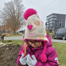Neugestaltung einer Grünfläche in eine Blumenwiese