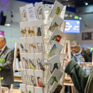 Vienna_at _47 von 71_.JPG