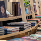 Vienna_at _50 von 71_.JPG