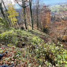 IMG_4301 _Mittel_.JPEG