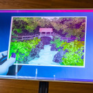 Vienna_at _23 von 61_.JPG