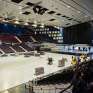 Vienna_at _55 von 61_.JPG