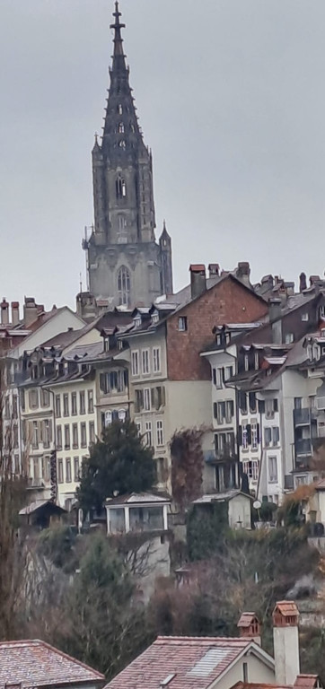 20251125_084007000_iOS 1 1.jpg