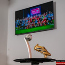 Vienna_at _11 von 54_.JPG