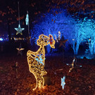 Advent 2025 - 1 _19a_.jpg