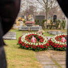 Vienna_at _30 von 52_.JPG