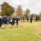 Vienna_at _31 von 52_.JPG