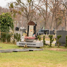 Vienna_at _32 von 52_.JPG