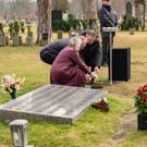 Vienna_at _38 von 52_.JPG