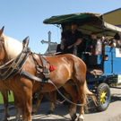 Pfarrfest087.JPG