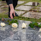 Vienna_at _46 von 52_.JPG