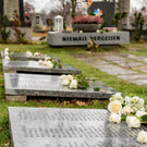 Vienna_at _47 von 52_.JPG