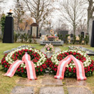 Vienna_at _49 von 52_.JPG