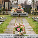 Vienna_at _51 von 52_.JPG