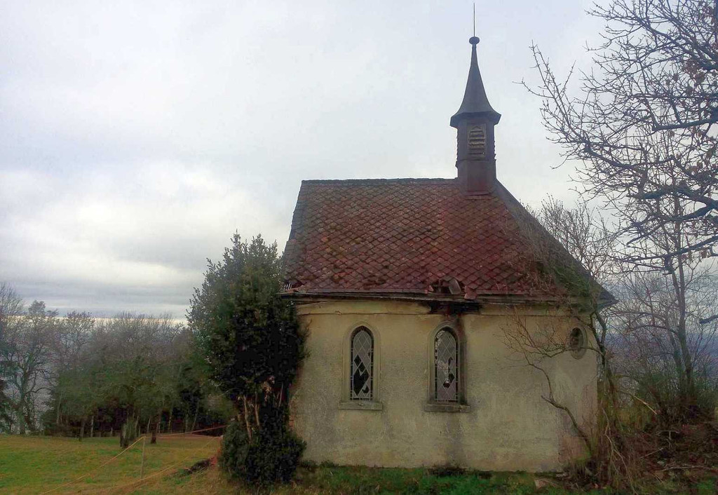 05 Ostseite mit Buchsbaum und Fliederbusch.jpg