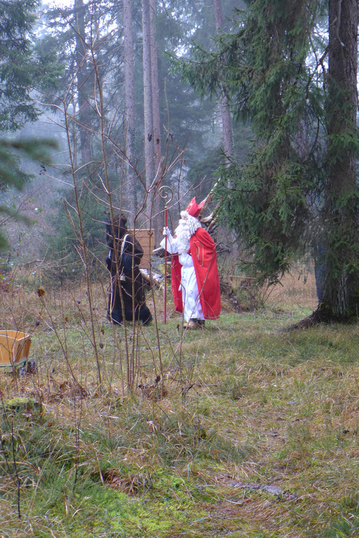 Schlauf__chse _2_.JPG