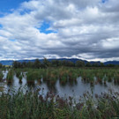 Schleiel__cher Xaver  2025-09-11 um 08_28_25_eaa35a51.jpg