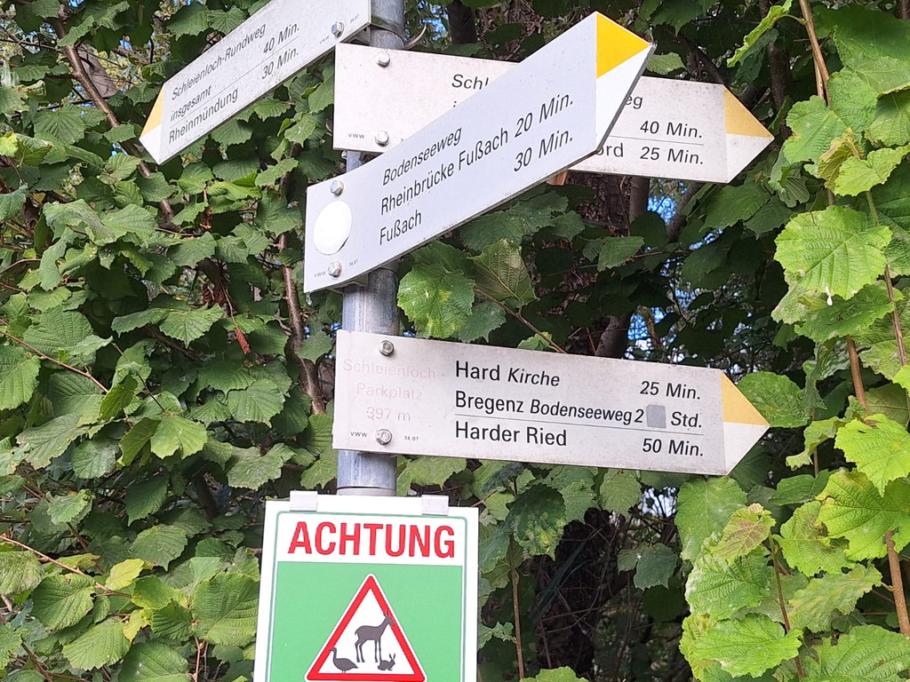 Schleienl__cher Xaver  2025-09-11 um 08_28_25_d7283f2a.jpg