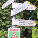 Schleienl__cher Xaver  2025-09-11 um 08_28_25_d7283f2a.jpg