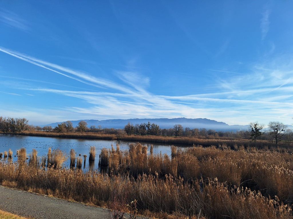 Schleienl__cher XSinz 2025-12-16 at 20_48_07.jpeg