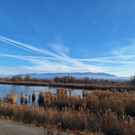 Schleienl__cher XSinz 2025-12-16 at 20_48_07.jpeg