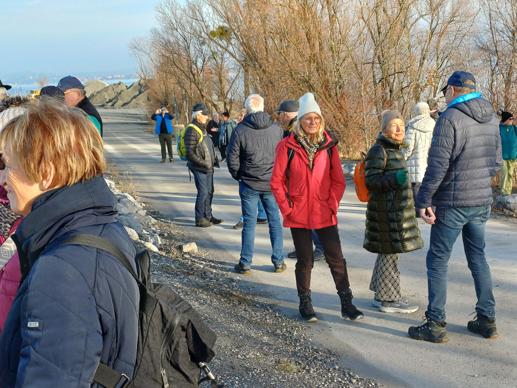 Schleierl__cher 20251212_100808.jpg