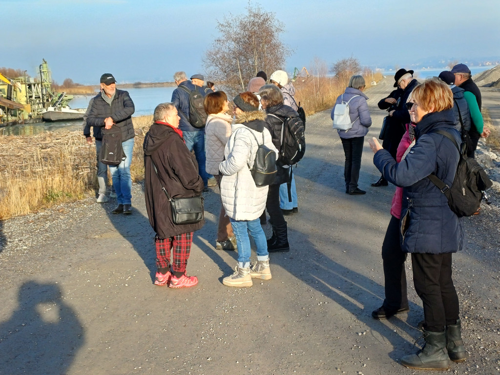 Schleierl__cher 20251212_100828.jpg