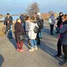 Schleierl__cher 20251212_100828.jpg