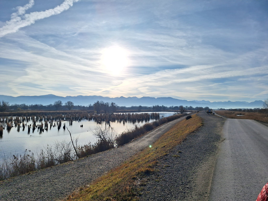 Schleierl__cher XSinz 2025-12-16 at 20_47_52.jpeg