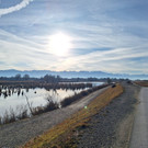 Schleierl__cher XSinz 2025-12-16 at 20_47_52.jpeg