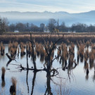 Schleierl__cher XSinz 2025-12-16 at 20_47_55.jpeg