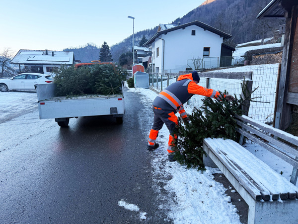 Weihnachtsbaum Abholung 1n.jpg