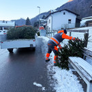 Abschied vom Christbaum 