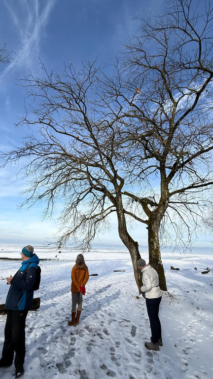 20260113_174236000_iOS 1.jpg