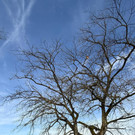 20260113_174236000_iOS 1.jpg