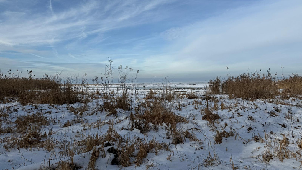 20260113_175411000_iOS 2.jpg