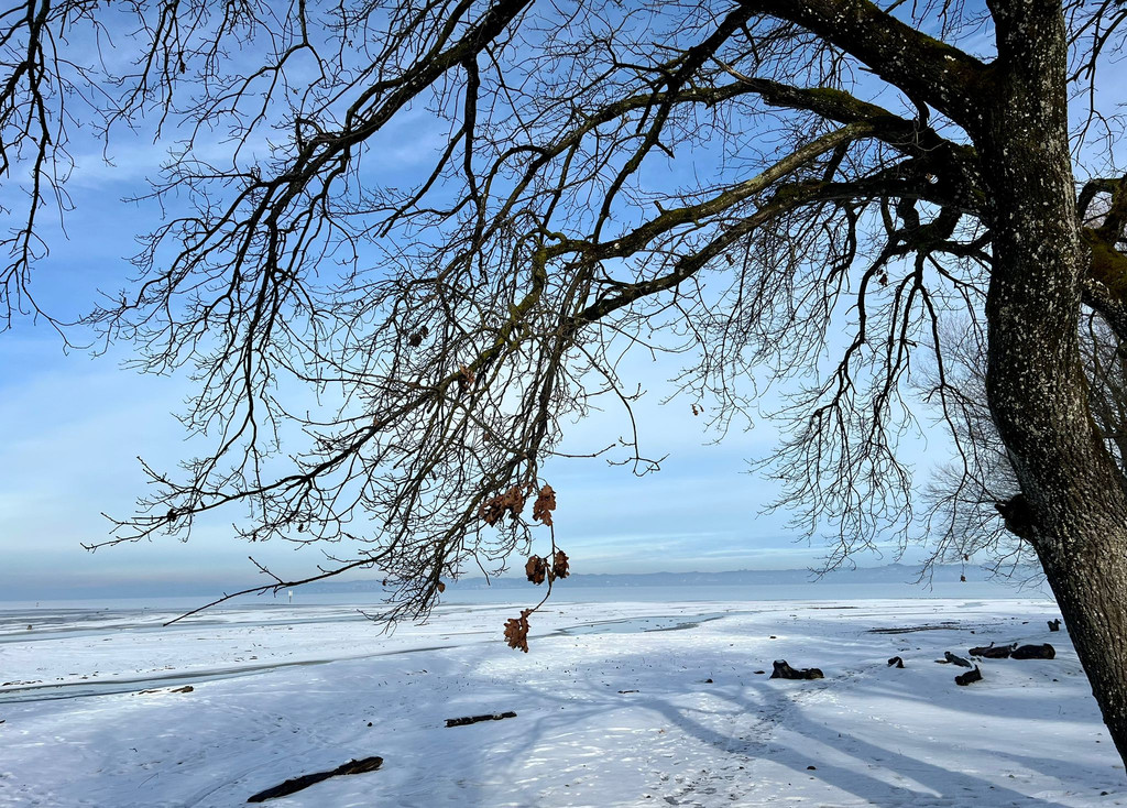 20260113_190744000_iOS 1.jpg