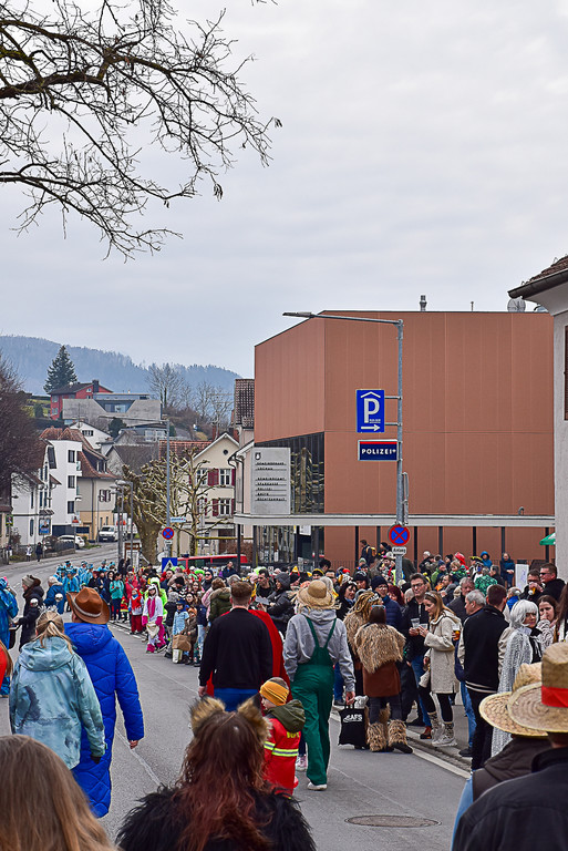 20250223_Faschingsumzug-4.jpg