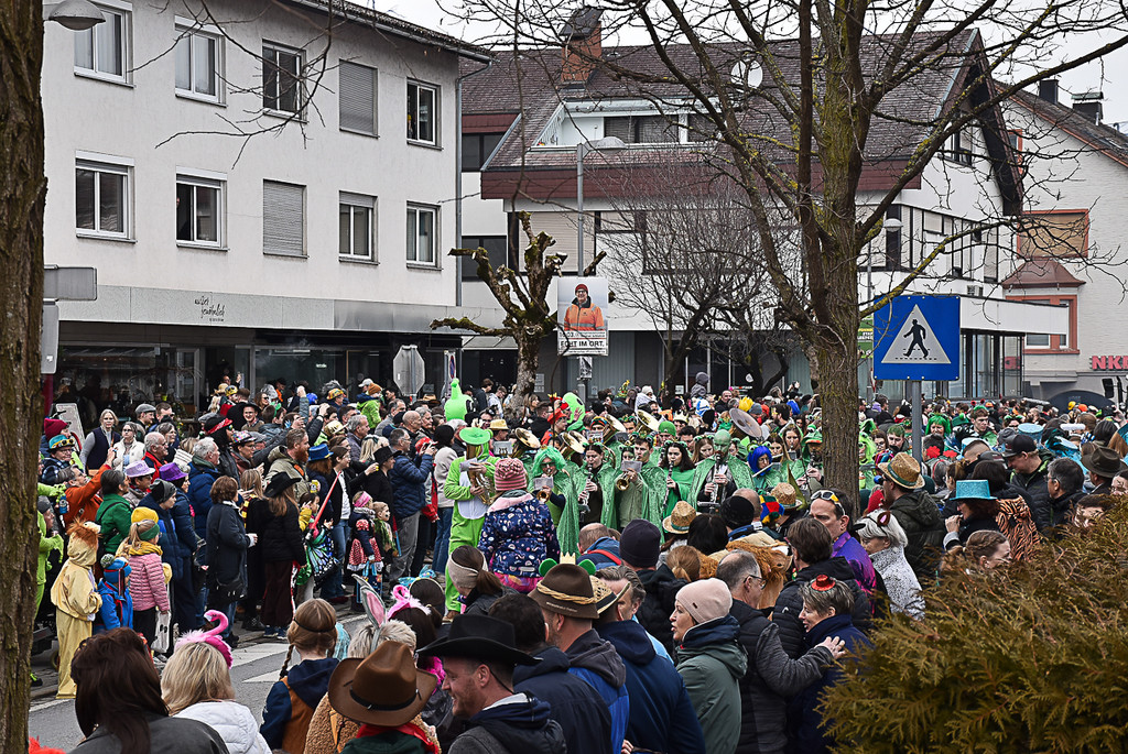 20250223_Faschingsumzug-7.jpg