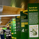 20260131_074120000_iOS 1.jpg