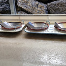 IMG-20260207-WA0006 _002_.jpg