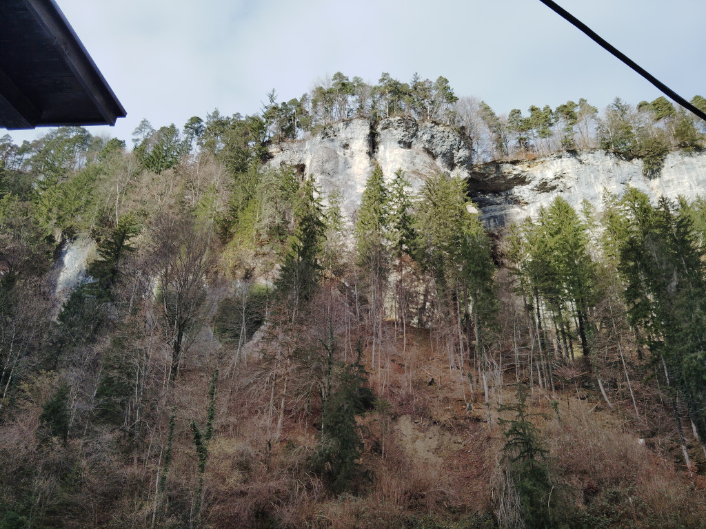IMG_20260207_100738.jpg