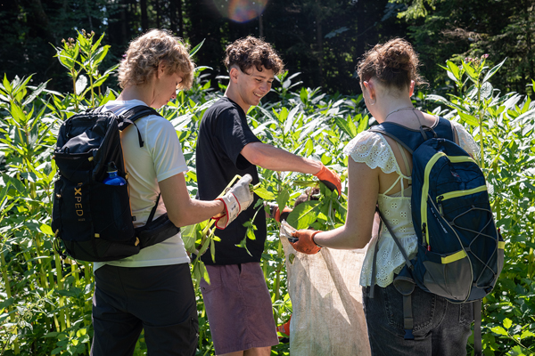 MACHWAS-Tage_ 2n.jpg