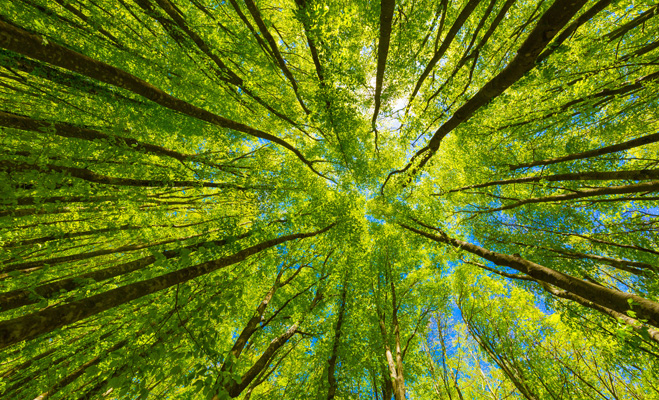 Umwelt im Gespr__ch nn.jpg