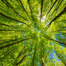 Umwelt im Gespr__ch nn.jpg