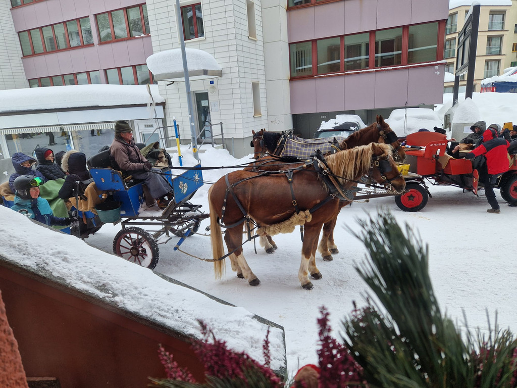 20260220_180528000_iOS 1.jpg