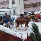 20260220_180528000_iOS 1.jpg