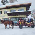 20260220_172623000_iOS 2.jpg